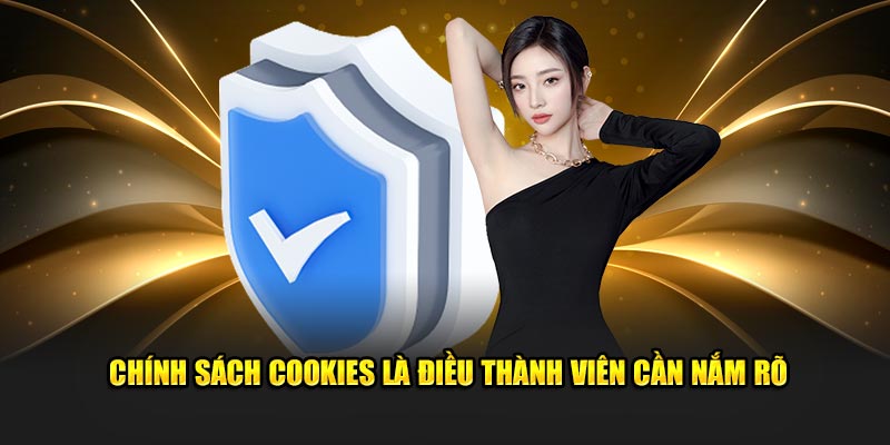 Chính sách cookies là điều thành viên cần nắm rõ tại 888B